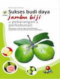 Image of SUKSES BUDI DAYA JAMBU BIJI DI PEKARANGAN & PERKEBUNAN: PEMANFAATAN, VARIETAS UNGGUL, TEKNIK BUDI DAYA, PENGENDALIAN HAMA DAN PENYAKIT, PANEN, & PASCAPANEN