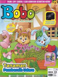 Image of Bobo 33/ November 2023: Tanaman Pembersih Udara