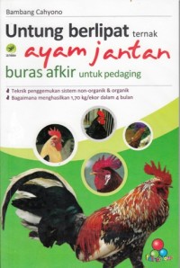 Image of UNTUNG BERLIPAT TERNAK AYAM JANTAN BURAS AFKIR UNTUK PEDAGING