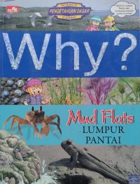 Image of Why? Mud Flats = LUMPUR PANTAI